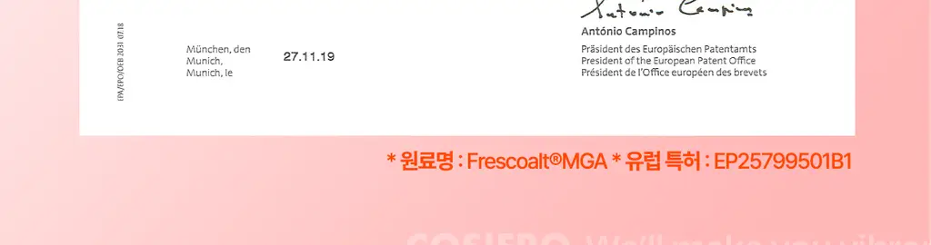 [한정기획] 코시에로 플럼퍼 모음전 (13종 택 1) 상세페이지 65